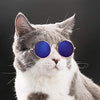 Image of Gafas Para Gatos Cool