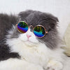 Image of Gafas Para Gatos Cool