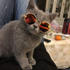 Image of Gafas Para Gatos Cool