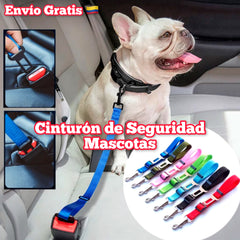 Cinturón de seguridad para mascotas